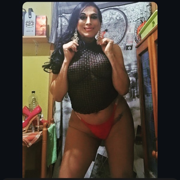 Tarifas de Pamela